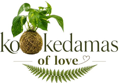 Kokedamas Of Love
